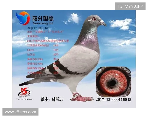 全面解析AG国际地址登录入口操作流程，轻松掌握登录技巧实现流畅游戏体验