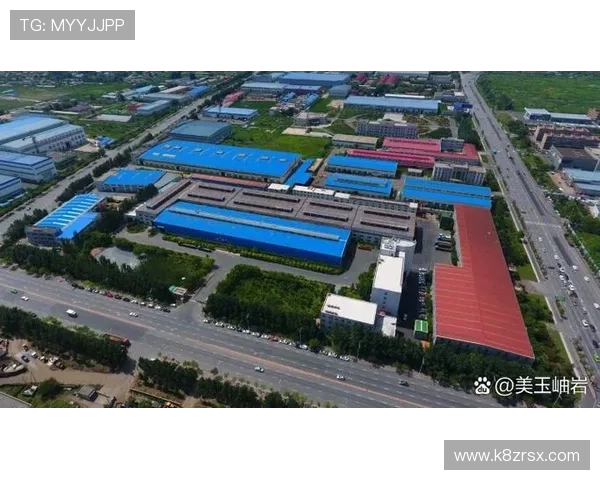 凯发集团怎么样未来发展潜力与行业竞争力分析与预测 凯发集团怎么样未来发展潜力与行业竞争力分析与预测