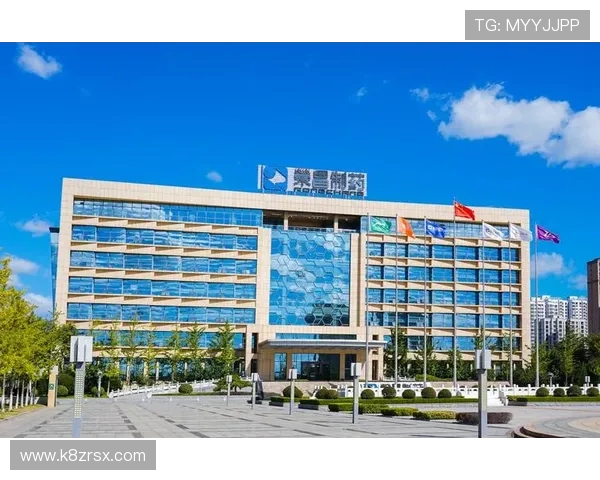 凯发集团手机版下载官网加强安全措施,保障玩家个人信息与资金安全稳定运行 凯发集团手机版下载官网加强安全措施,保障玩家个人信息与资金安全稳定运行